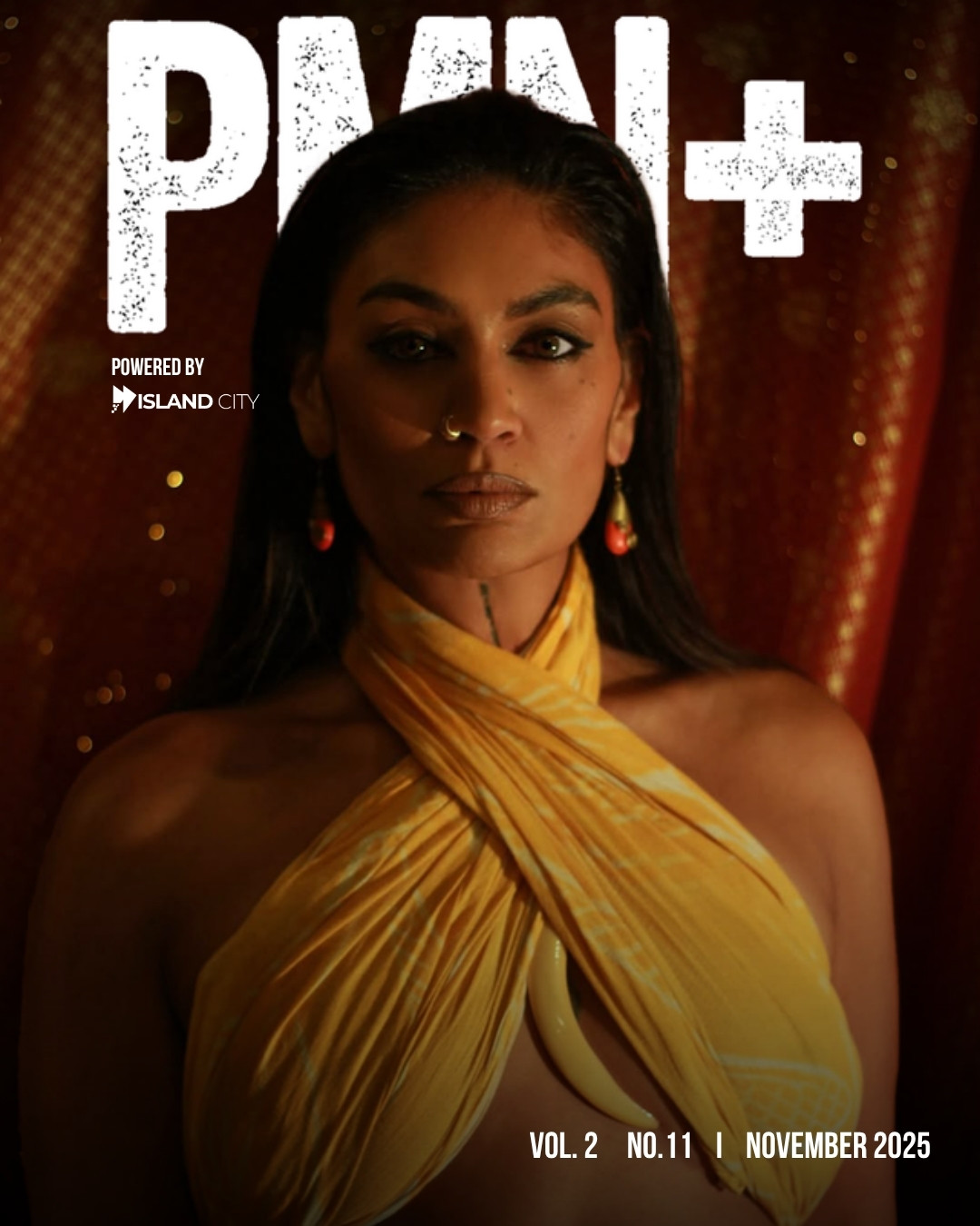 PMN+ November 2025 cover